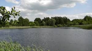 Jeleni Staw